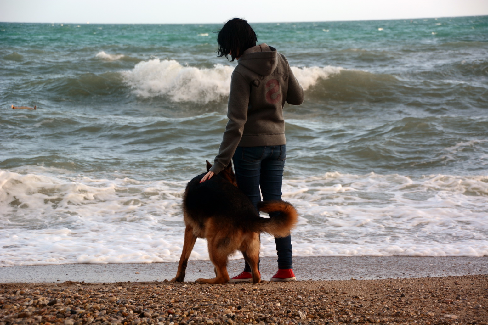 pastores alemanes Monte Yulex. Entrenamiento en la playa